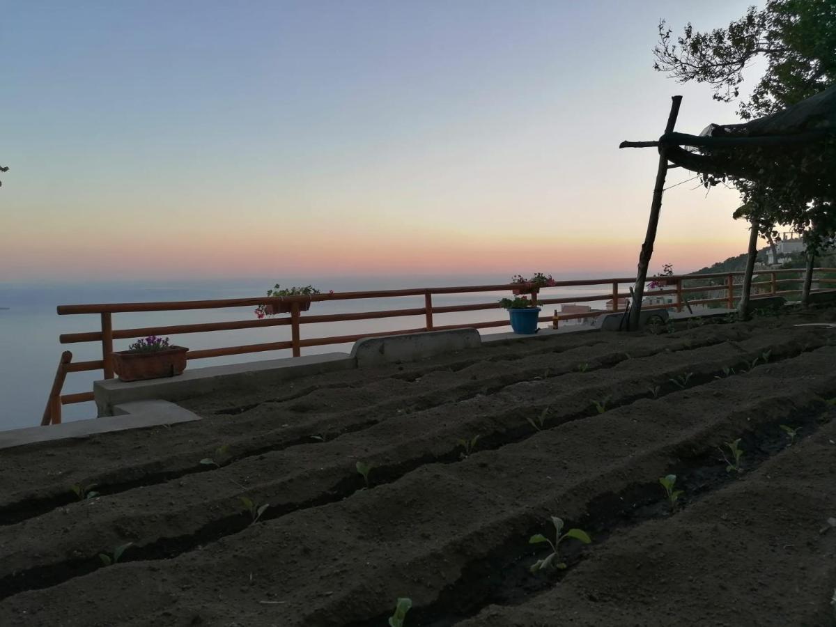 San Giacomo Relais フローレ エクステリア 写真
